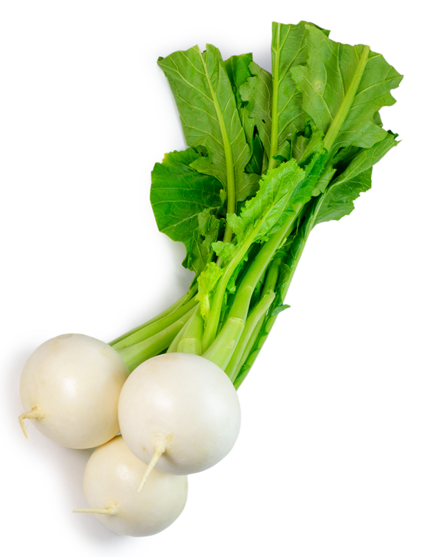 Seven Top Turnip Icon