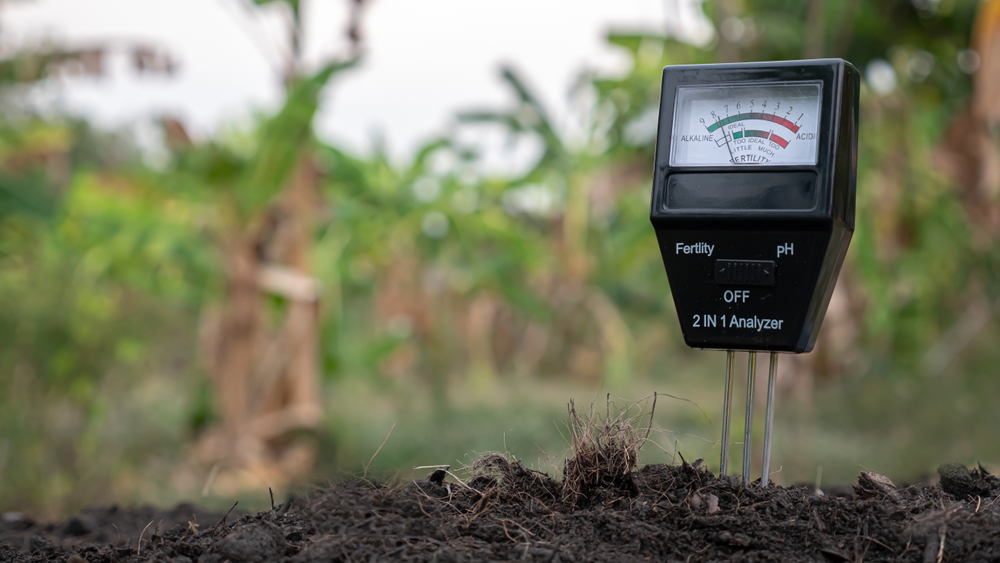 Soil pH Meter testing