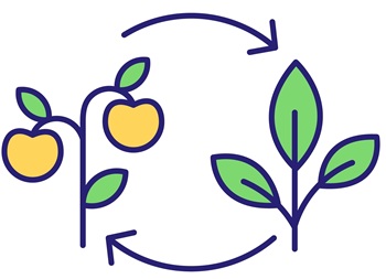 Succession Planting Icon