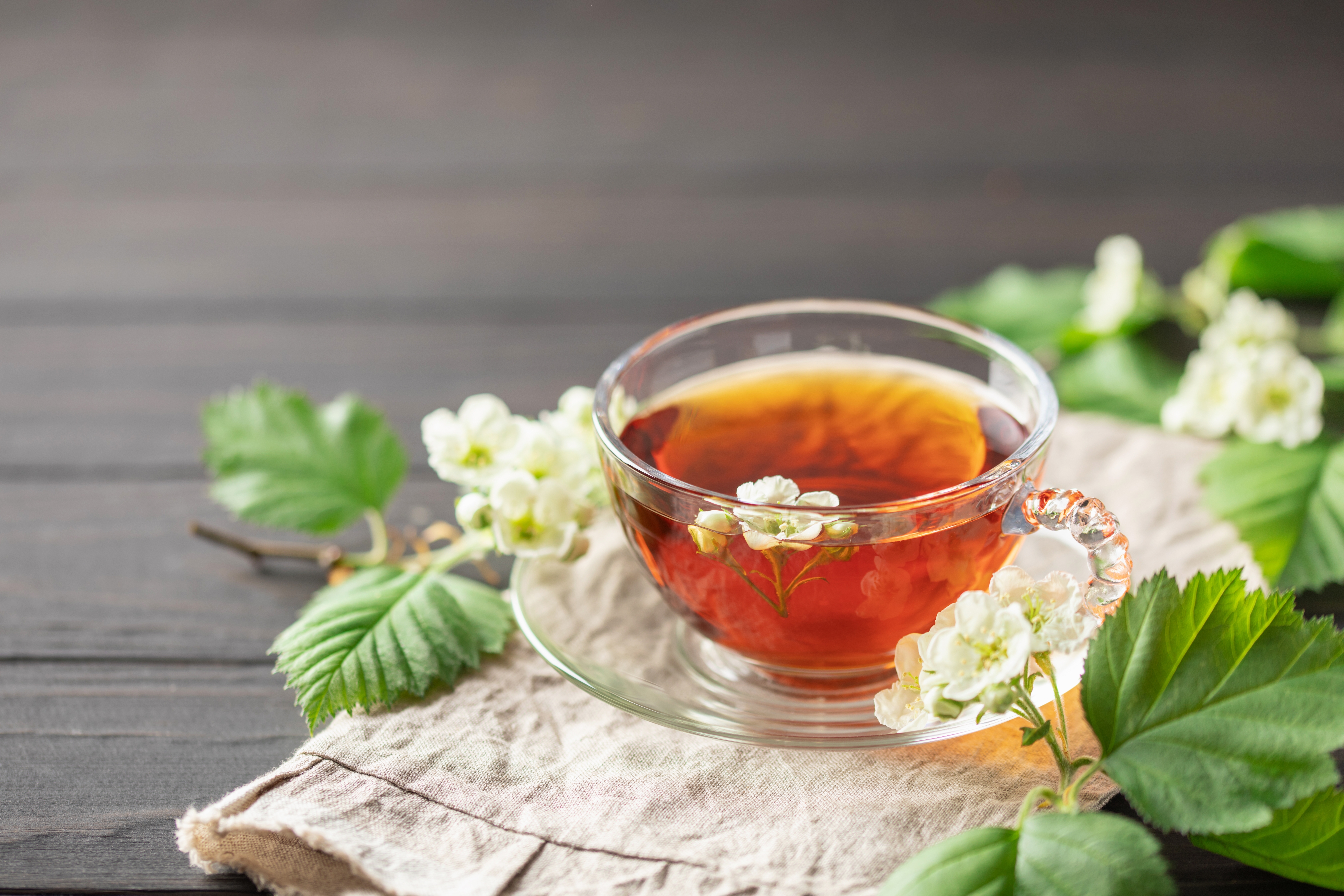 Garden Tea Time Icon