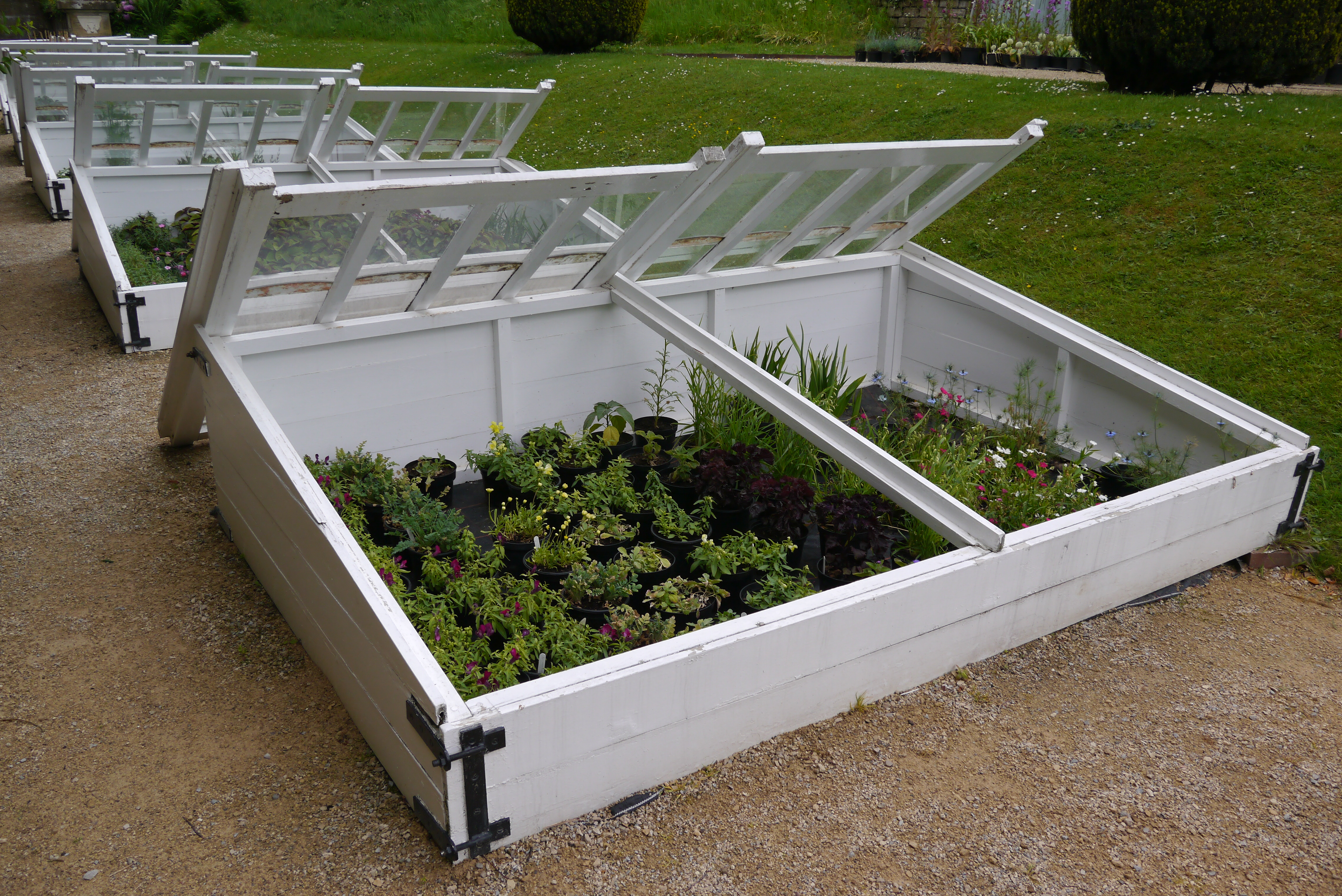 Extending your growing season using cold frame gardening for beginners